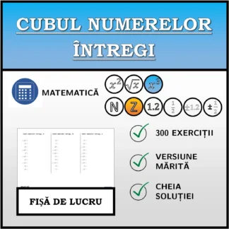 Fișă de lucru: Cubul numerelor întregi