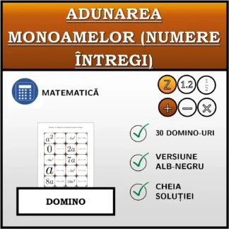 Domino: Adunarea monoamelor (numere întregi)