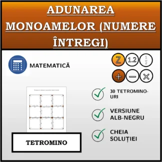 Tetromino: Adunarea monoamelor (numere întregi)