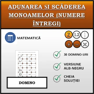 Domino: Adunarea și scăderea monoamelor (numere întregi)