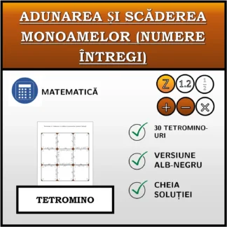 Tetromino: Adunarea și scăderea monoamelor (numere întregi)