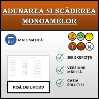 Fișă de lucru: Adunarea și scăderea monoamelor