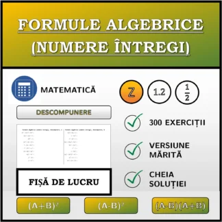 Fișă de lucru: Formule algebrice (numere întregi), descompunere