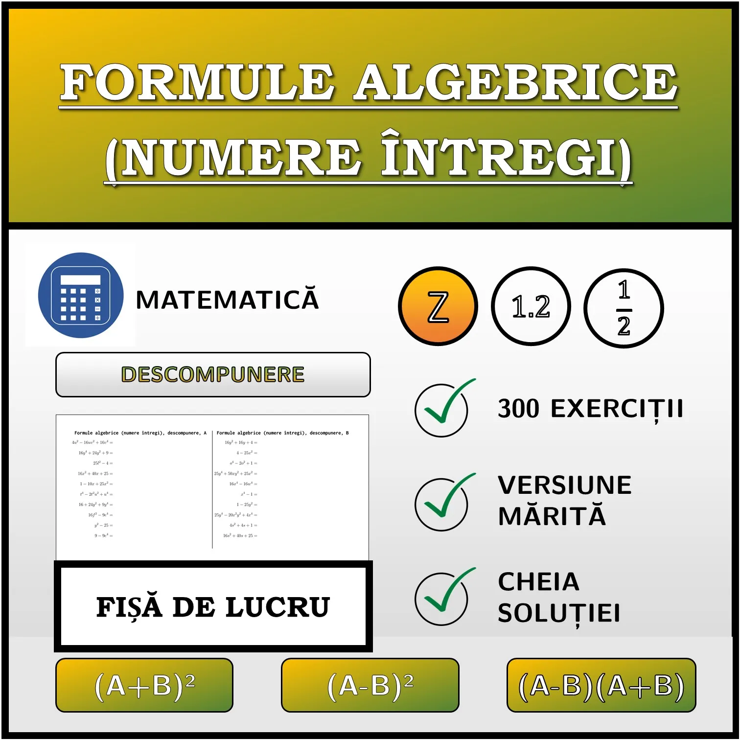 Fișă de lucru: Formule algebrice (numere întregi), descompunere