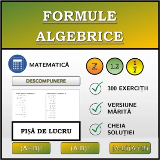 Fișă de lucru: Formule algebrice, descompunere