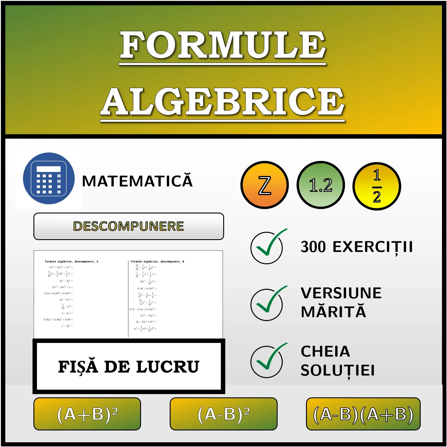 Fișă de lucru: Formule algebrice, descompunere