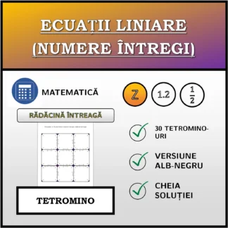Tetromino: Ecuații liniare (numere întregi), rădăcină întreagă