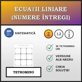 Tetromino: Ecuații liniare (numere întregi)