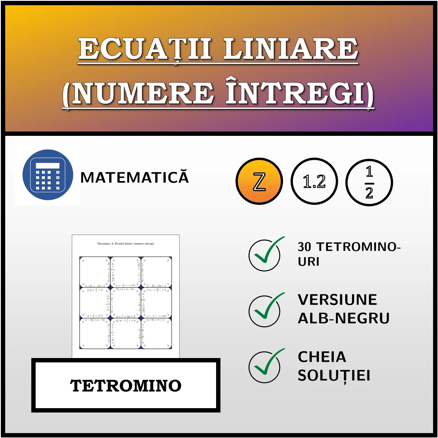 Tetromino: Ecuații liniare (numere întregi)