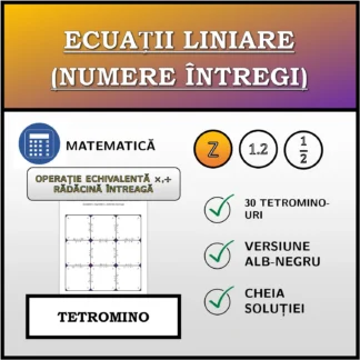 Tetromino: Ecuații liniare (numere întregi), transformare echivalentă (înmulțire, împărțire), rădăcină întreagă