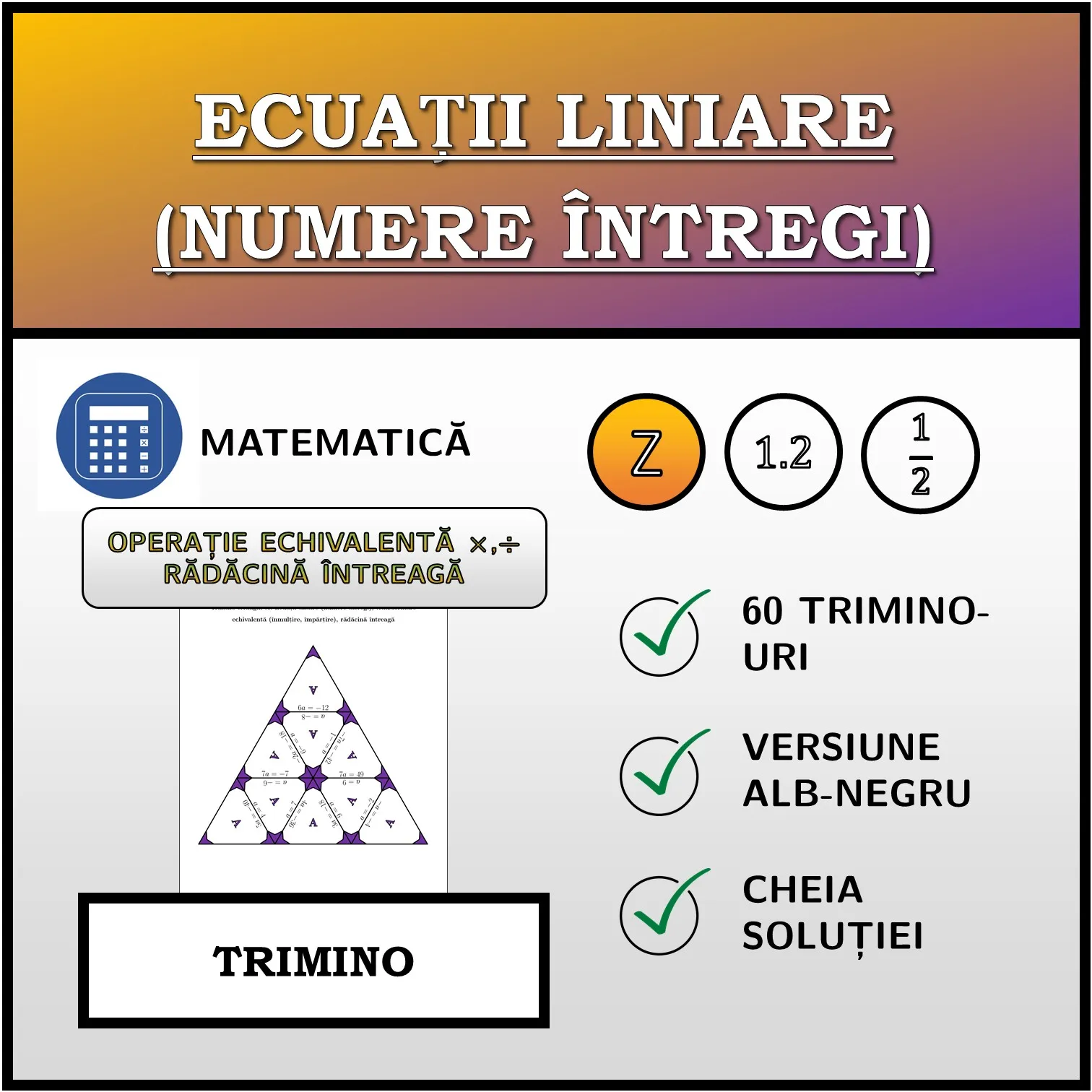 Trimino: Ecuații liniare (numere întregi), transformare echivalentă (înmulțire, împărțire), rădăcină întreagă
