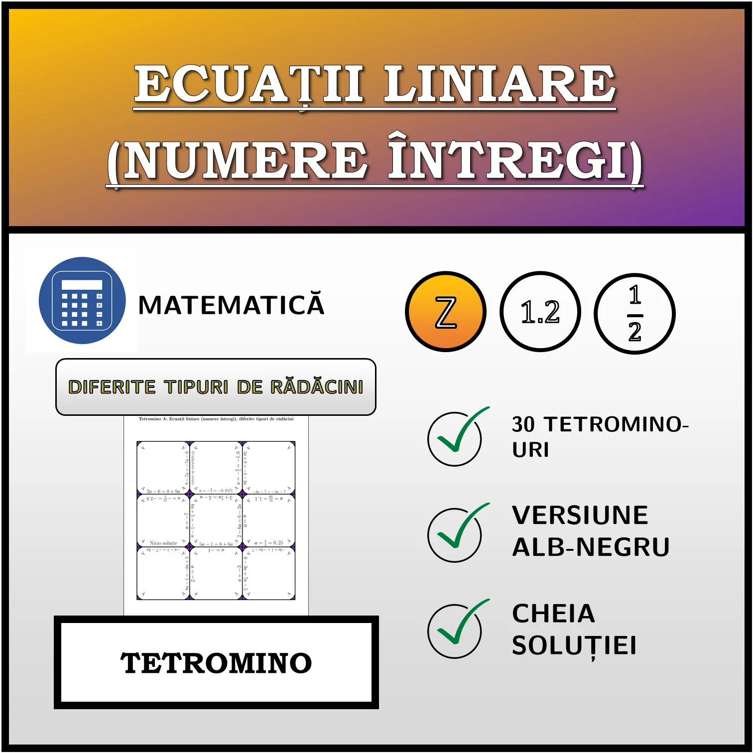 Tetromino: Ecuații liniare (numere întregi), diferite tipuri de rădăcini