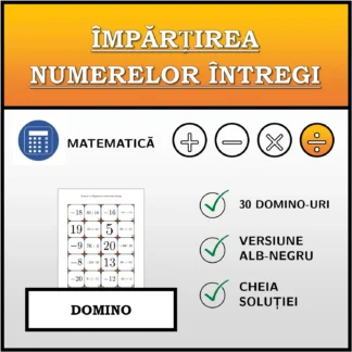Domino: Împărțirea numerelor întregi