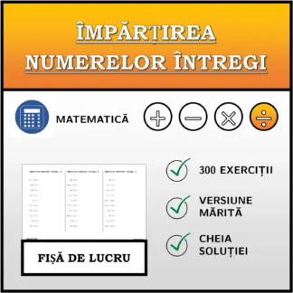 Fișă de lucru: Împărțirea numerelor întregi