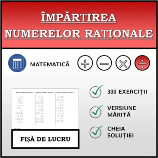 Fișă de lucru: Împărțirea numerelor raționale